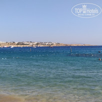 фото из отзыва ID 2322219