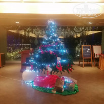 фото из отзыва ID 2322264