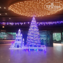 фото из отзыва ID 2322264