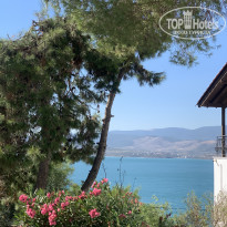 фото из отзыва ID 2322270