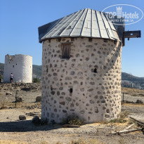 фото из отзыва ID 2322270