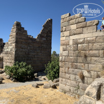 фото из отзыва ID 2322270