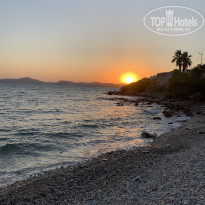 фото из отзыва ID 2322270