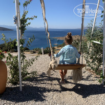 фото из отзыва ID 2322270