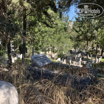 фото из отзыва ID 2322270