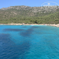 фото из отзыва ID 2322270