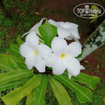 фото из отзыва ID 2322526