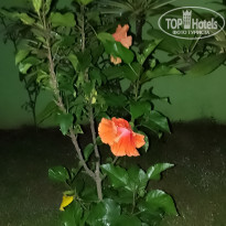 фото из отзыва ID 2322526