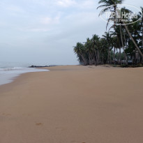 фото из отзыва ID 2322526