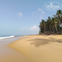 фото из отзыва ID 2322526