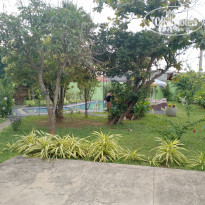 фото из отзыва ID 2322526