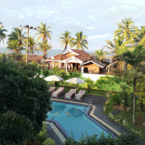 фото из отзыва ID 2322526