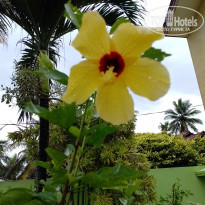 фото из отзыва ID 2322526