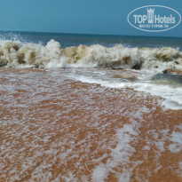 фото из отзыва ID 2322526