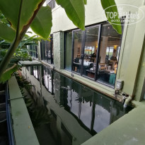 фото из отзыва ID 2322551