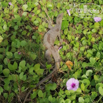 фото из отзыва ID 2322551