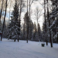 фото из отзыва ID 2322638