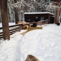 фото из отзыва ID 2322638