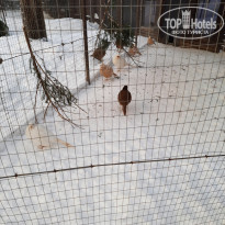 фото из отзыва ID 2322638