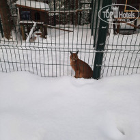 фото из отзыва ID 2322638