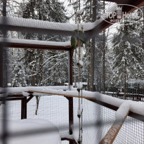 фото из отзыва ID 2322638