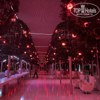 фото из отзыва ID 2322766