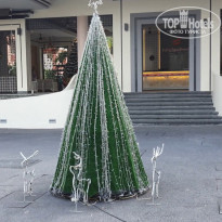 фото из отзыва ID 2322833