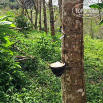 фото из отзыва ID 2322983