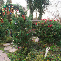 фото из отзыва ID 2323164