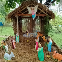 фото из отзыва ID 2323167