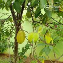 фото из отзыва ID 2323167