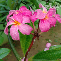 фото из отзыва ID 2323167