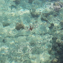 фото из отзыва ID 2323171