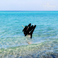 фото из отзыва ID 2323190