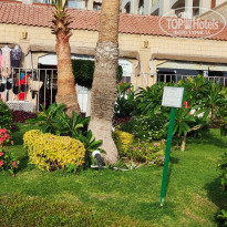 фото из отзыва ID 2323190