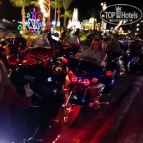 фото из отзыва ID 2323190