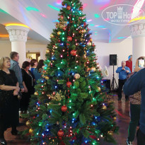 фото из отзыва ID 2323232