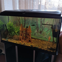 фото из отзыва ID 2323232