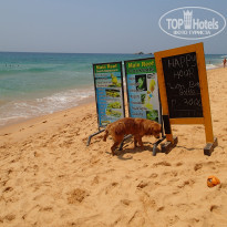 фото из отзыва ID 2323244