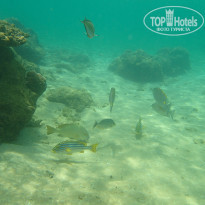 фото из отзыва ID 2323244