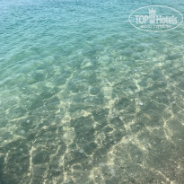 фото из отзыва ID 2322366