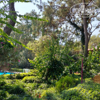 фото из отзыва ID 2323371