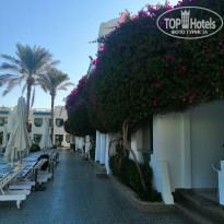 фото из отзыва ID 2323406