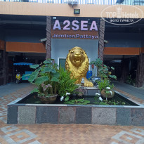 фото из отзыва ID 2323494