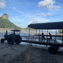 фото из отзыва ID 2323670