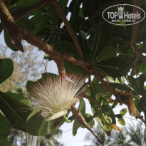 фото из отзыва ID 2323750