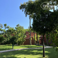 фото из отзыва ID 2323759