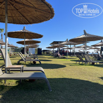 фото из отзыва ID 2323782