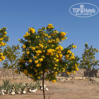 фото из отзыва ID 2323661