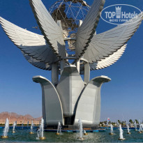 фото из отзыва ID 2323661